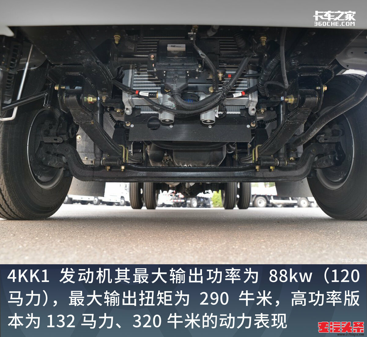 t2pleebcoik2636.jpg