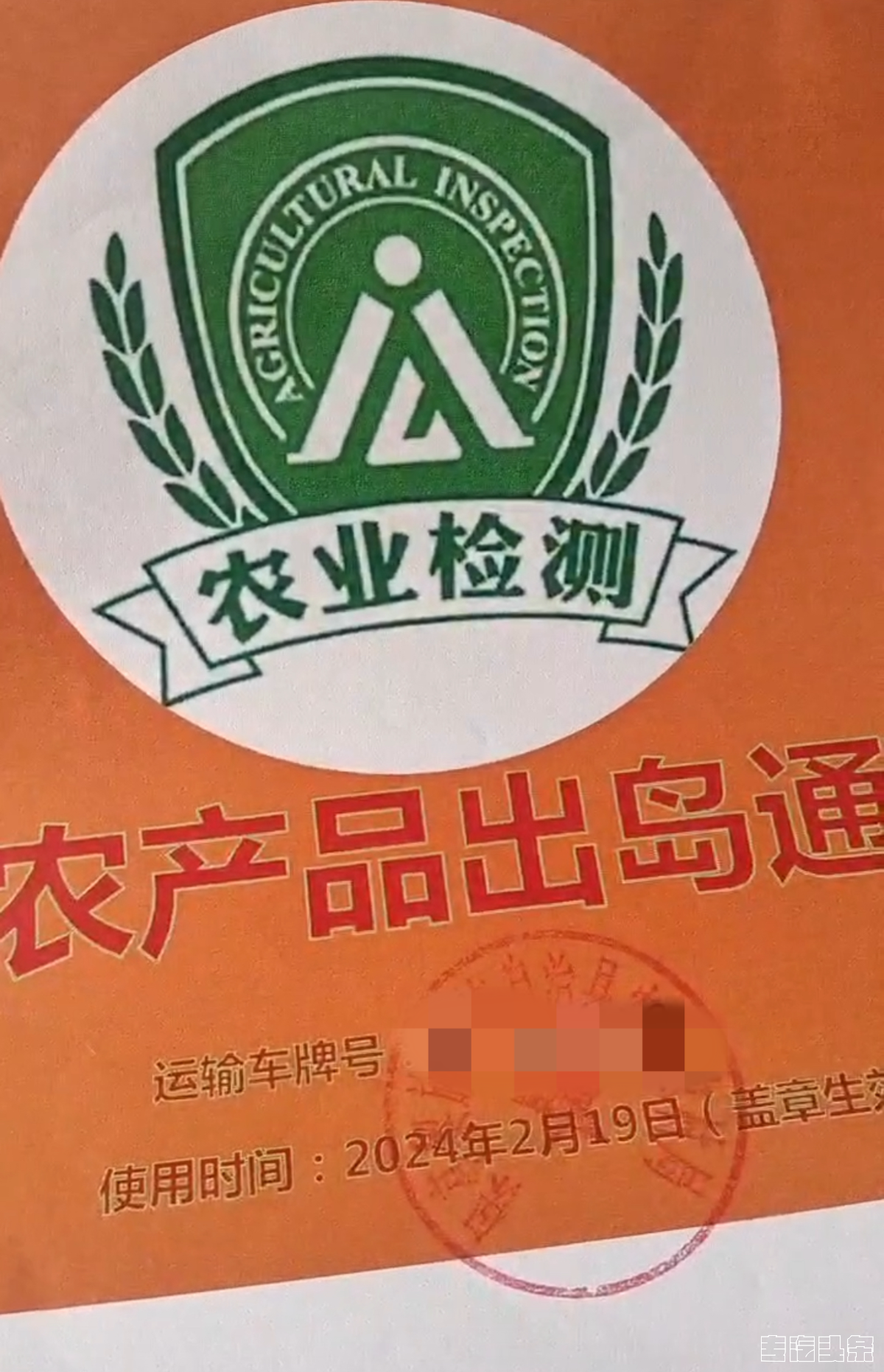 01wonp5yk3u2030.png
